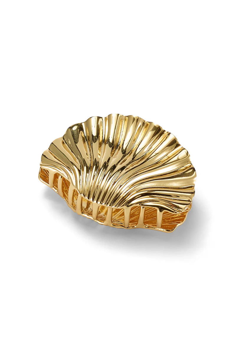 CLIP GLOSSY SHELL